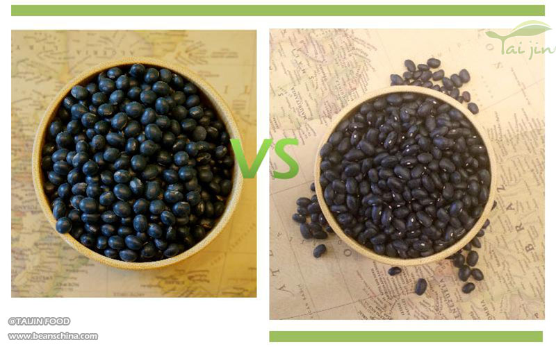 Black Soybean vs Black Kidney Bean