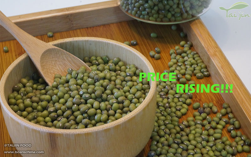 Green Mung Bean Prices Are Rising