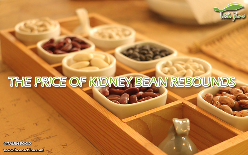 The Price of Kidney Bean Rebounds