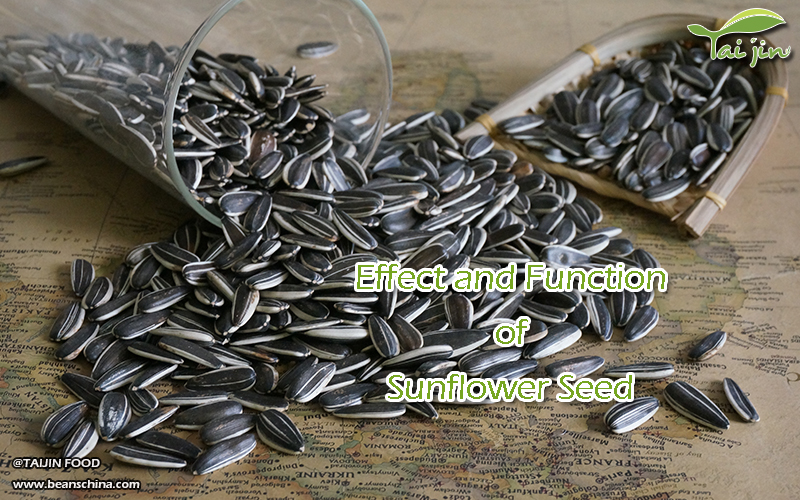 Effect And Function of Sunflower Seed