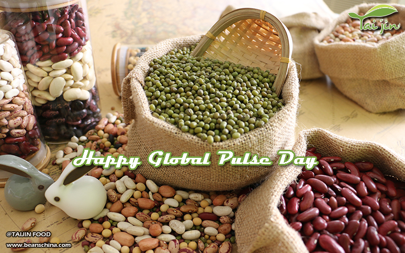Happy Global Pulse Day