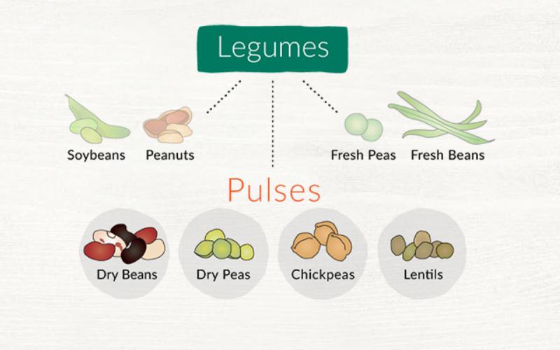 Pulses(from GPC)