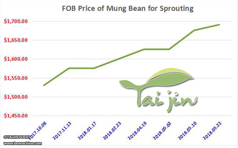 FOB Price of Mung Bean for Sprouting